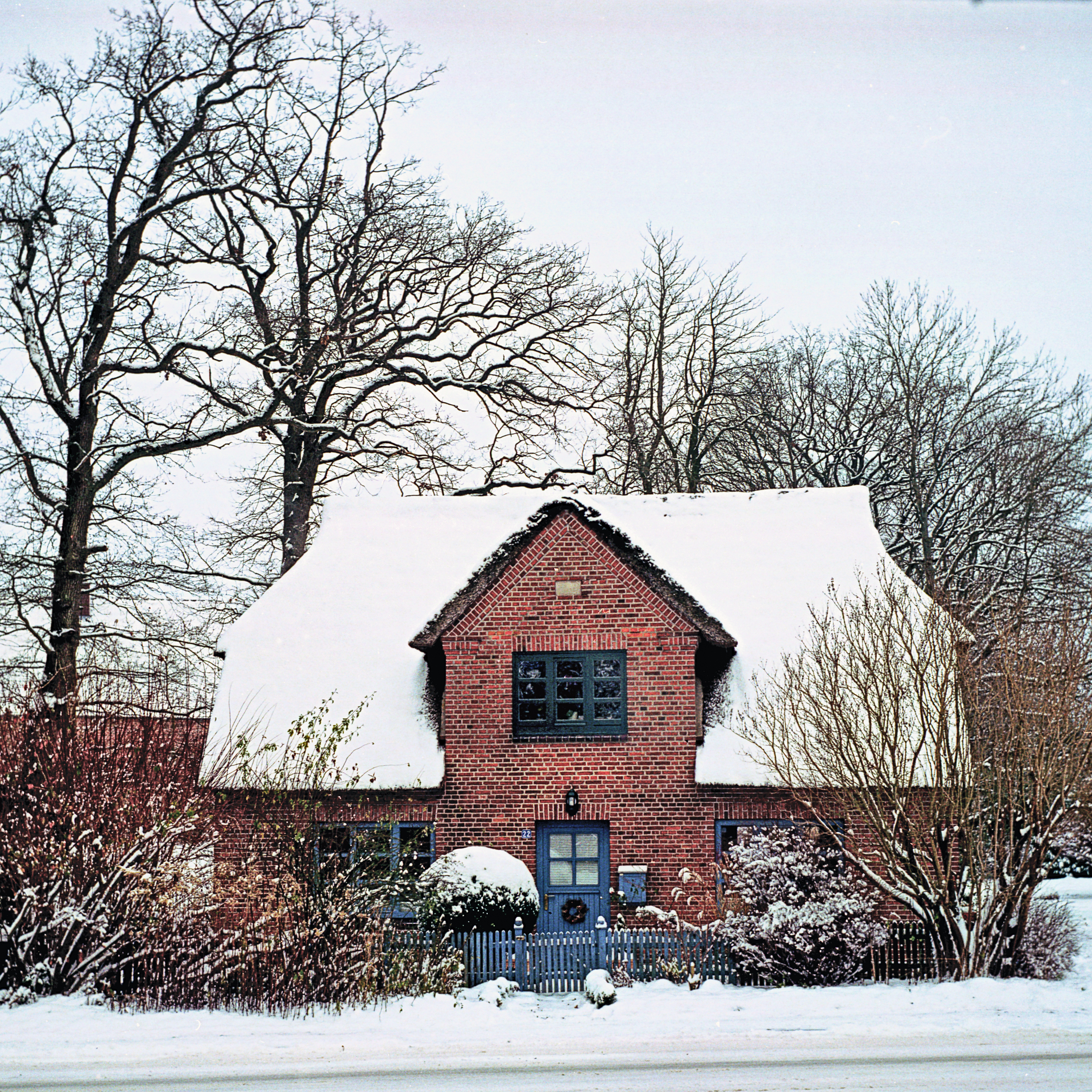 Kate im verschneiten Warnau
